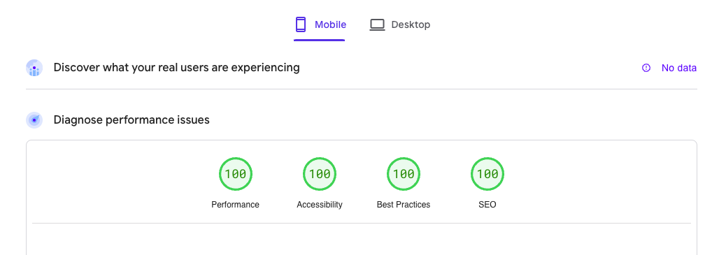 Google Pagespeed Insights shows 100 out of 100 for all metrics on mobile.