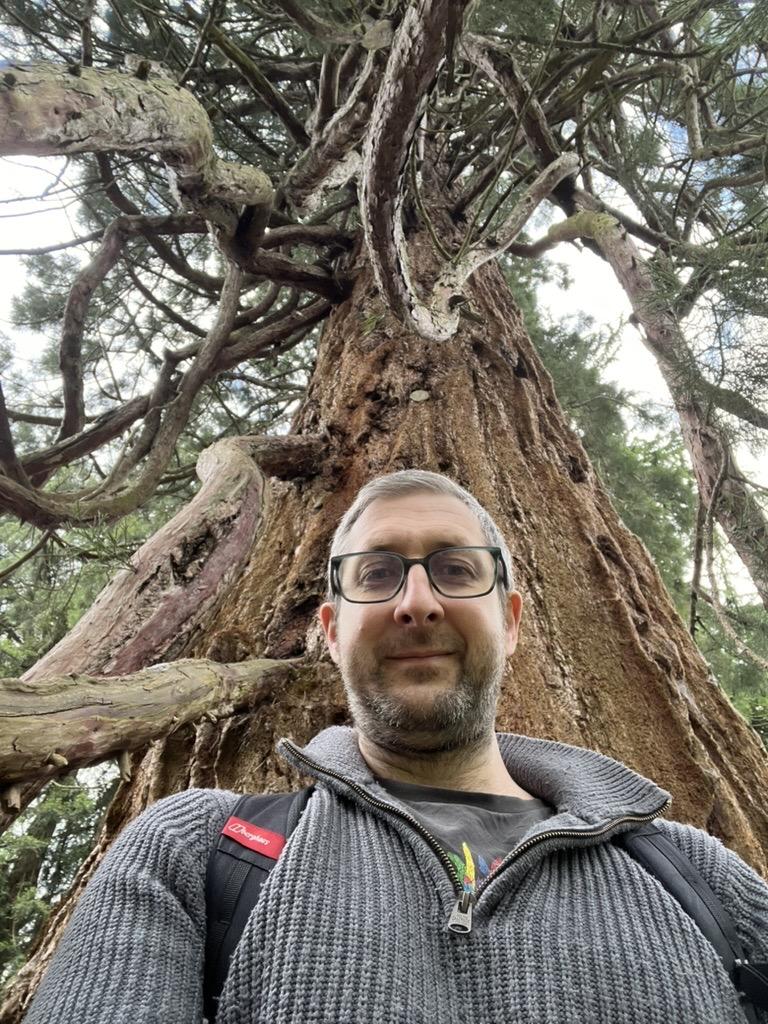 I stand at the bottom of an enormous tree.